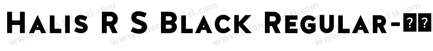 Halis R S Black Regular字体转换